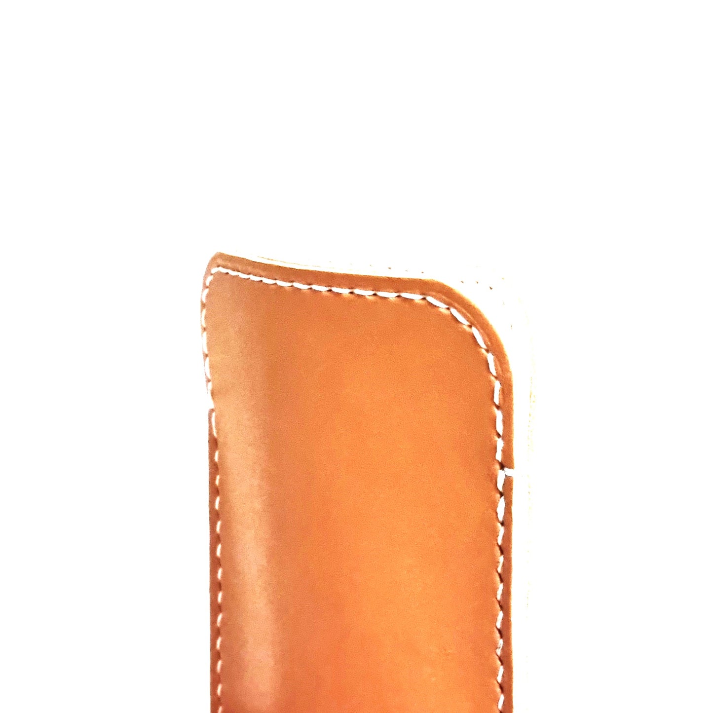 ELI 2 Leather Spectacles Case