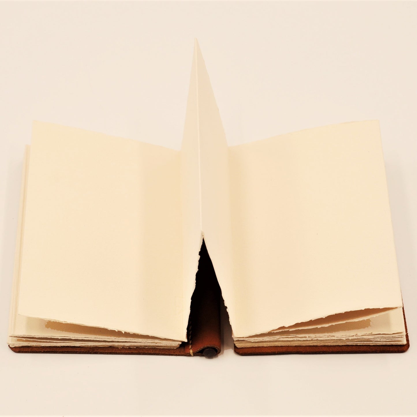 ACADEMY A6-P Leather Archival Accordion Sketch Album
