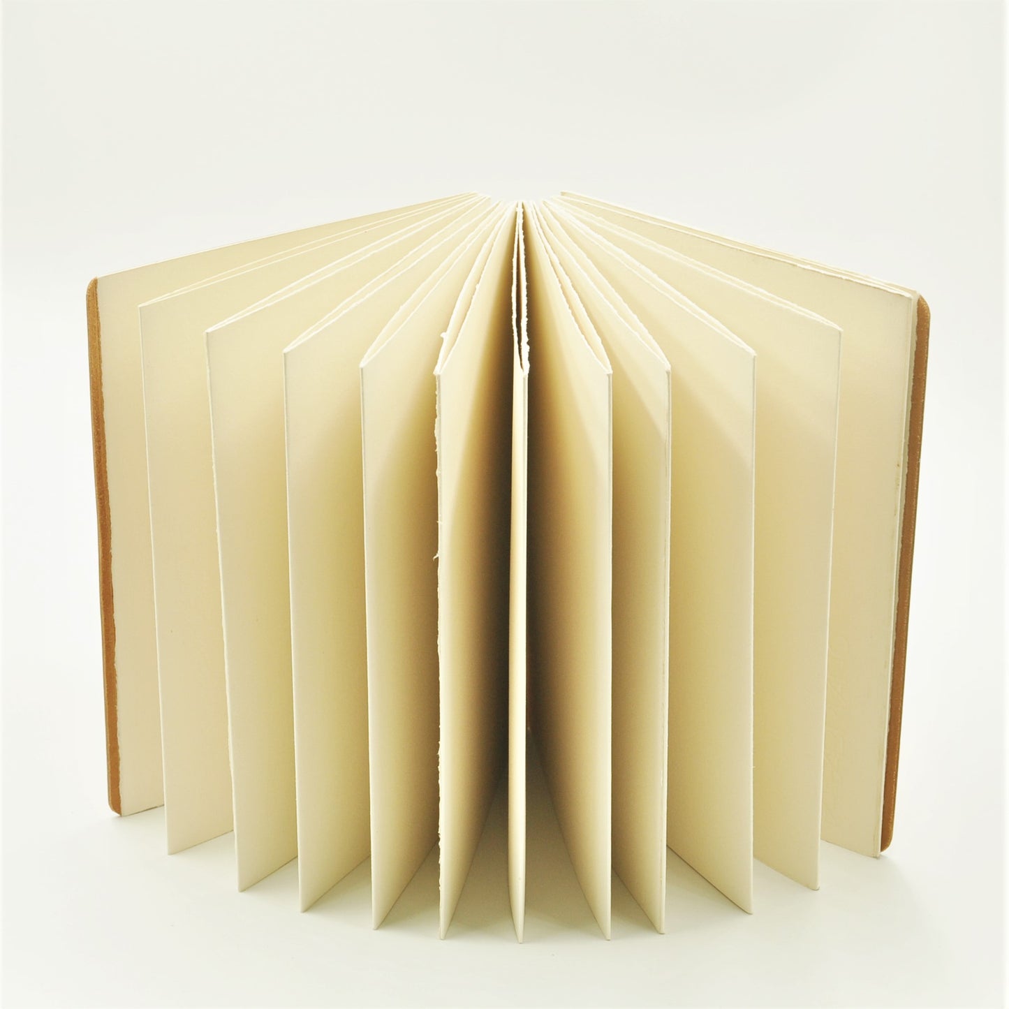 ACADEMY B5-P Leather Archival Accordion Sketch Album